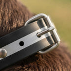 Dog collar with remote control, 1000 m range – IP67 waterproof