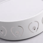 LED Ceiling Light