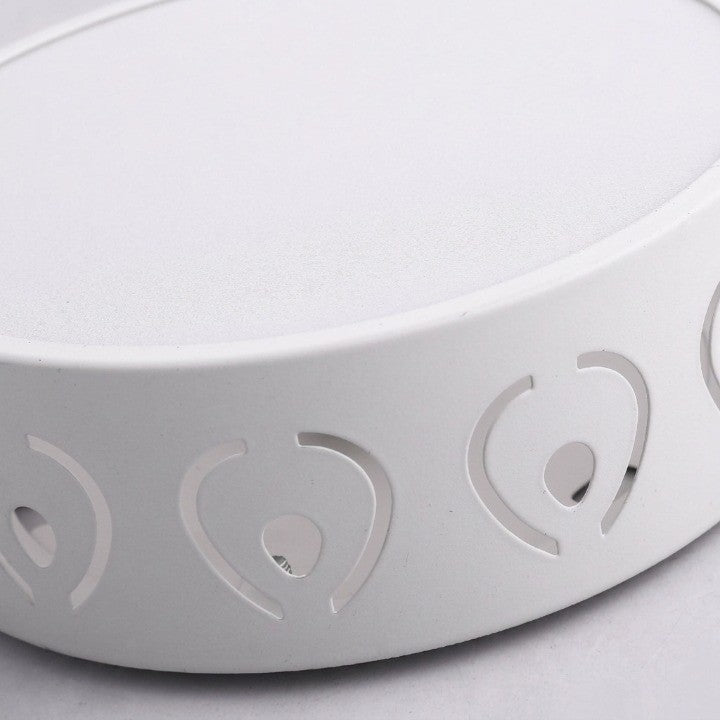 LED Ceiling Light
