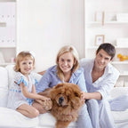 Ultrasound Protection for Pets – Against Fleas, Ticks & Mosquitoes