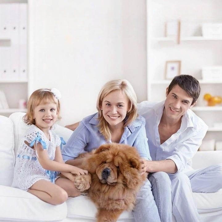 Ultrasound Protection for Pets – Against Fleas, Ticks & Mosquitoes