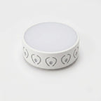 LED Ceiling Light