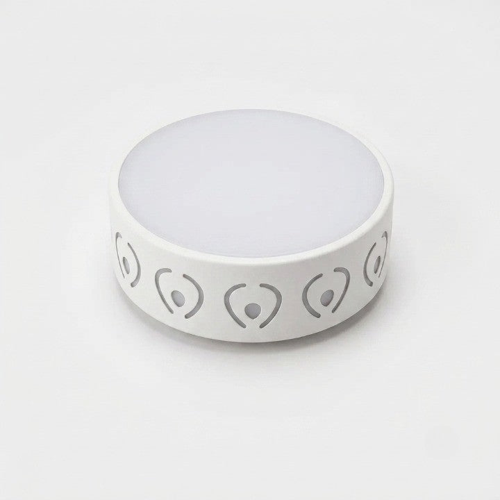 LED Ceiling Light
