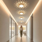 LED Ceiling Light