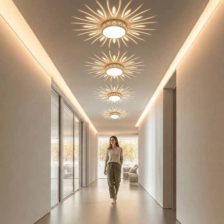 LED Ceiling Light
