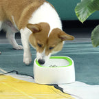Pet Drinking Bowl – No Wet Floor After Drinking