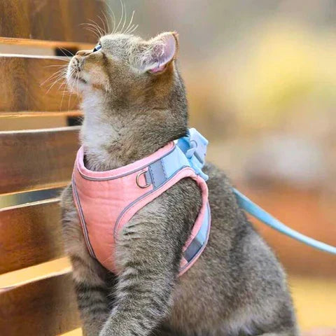 Cat harness with leash – Comfortable fit with reflective safety stripes