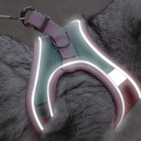 Cat harness with leash – Comfortable fit with reflective safety stripes