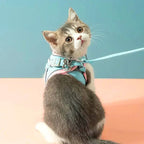 Cat harness with leash – Comfortable fit with reflective safety stripes