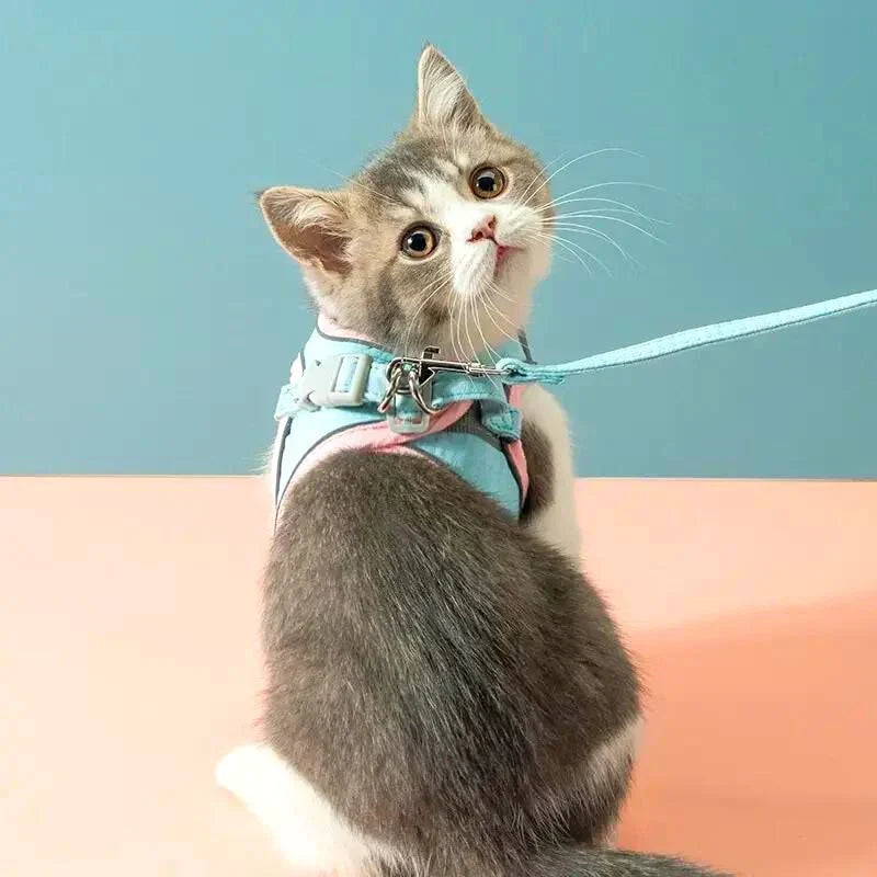 Cat harness with leash – Comfortable fit with reflective safety stripes