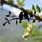 Metall-Vogel-Silhouette – Wand- und Gartendekoration