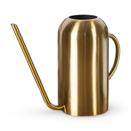 Stainless steel watering can with long spout – Precise pouring without spilling
