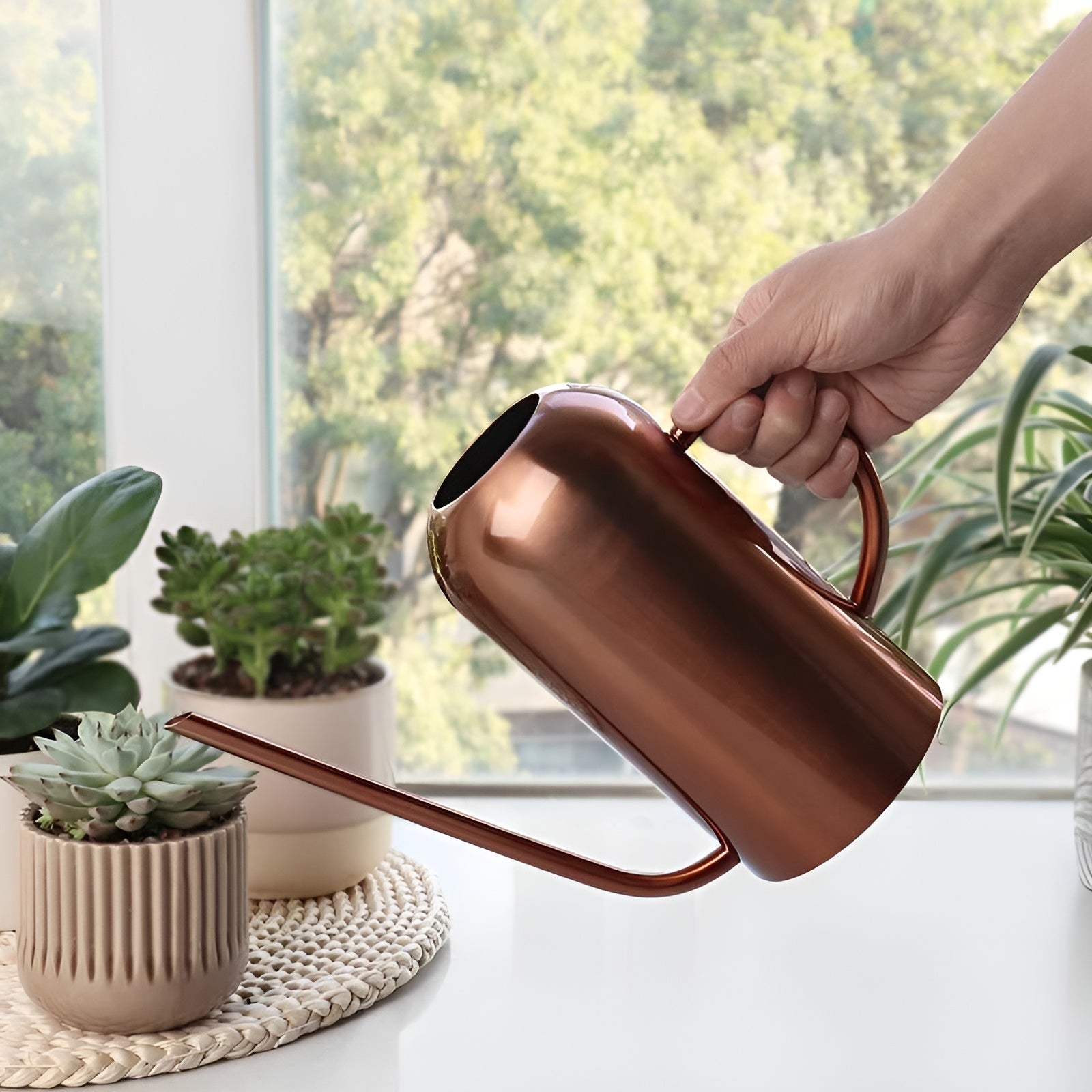 Stainless steel watering can with long spout – Precise pouring without spilling