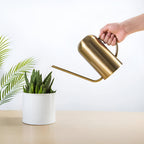 Stainless steel watering can with long spout – Precise pouring without spilling