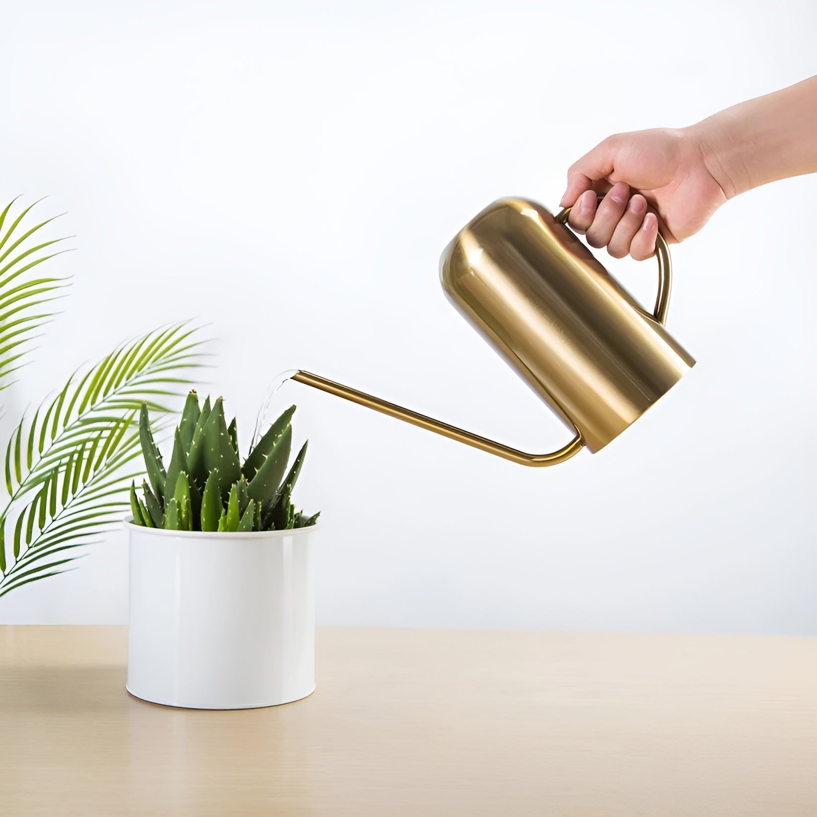Stainless steel watering can with long spout – Precise pouring without spilling
