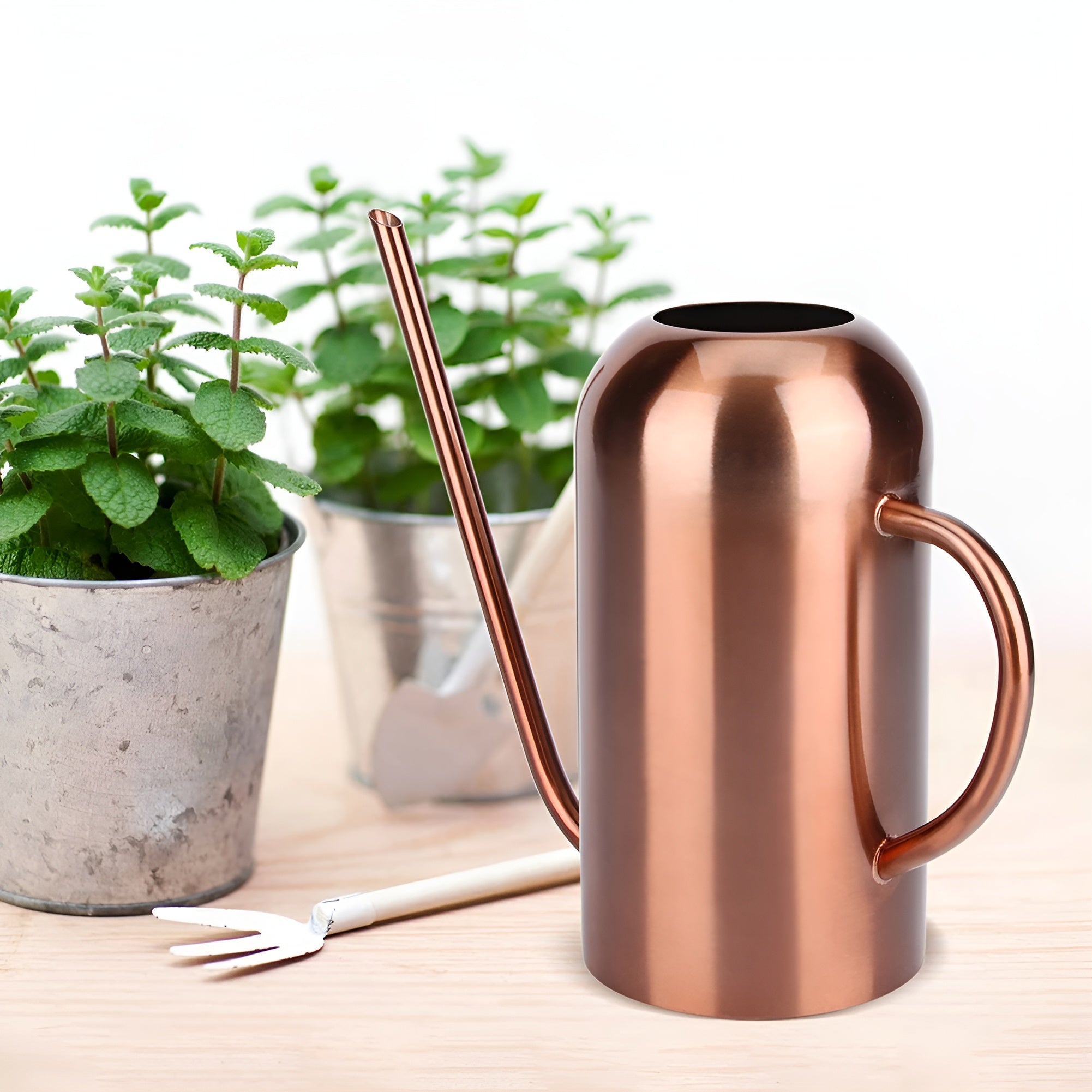 Stainless steel watering can with long spout – Precise pouring without spilling
