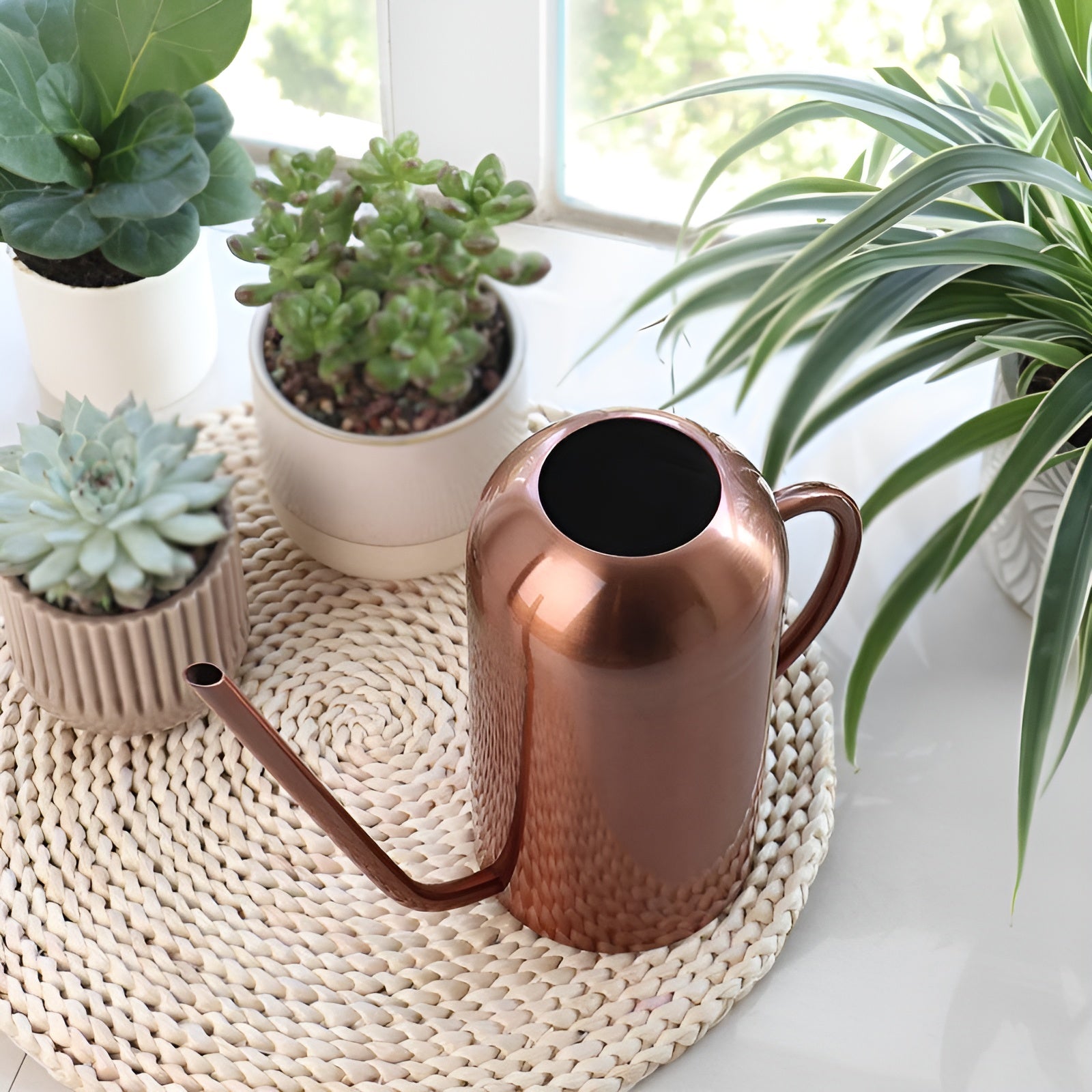 Stainless steel watering can with long spout – Precise pouring without spilling