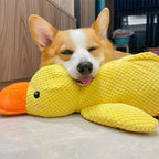 Dog Toy Duck with Squeaker Function