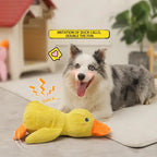 Dog Toy Duck with Squeaker Function
