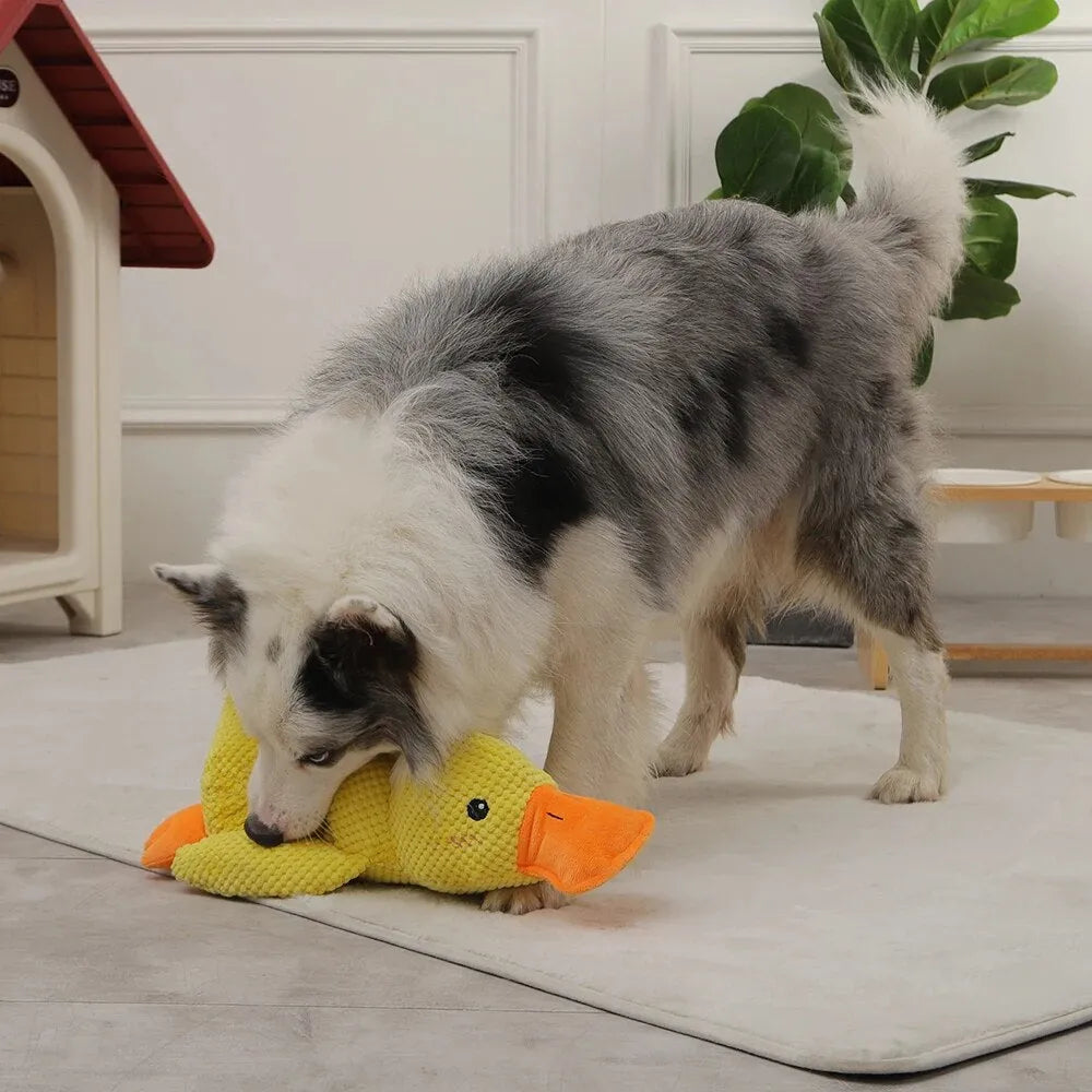 Dog Toy Duck with Squeaker Function