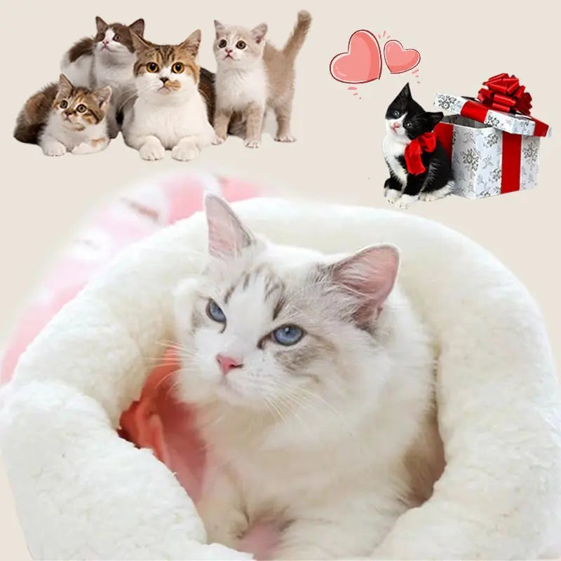Katzenbett — Kuschelige Wärme und sichere Geborgenheit Mivoza Deutschland