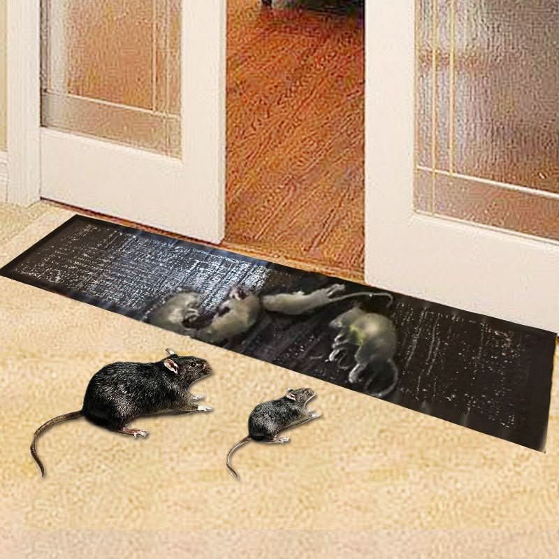 Klebefalle für Mäuse und Ratten – giftfrei, große Fläche