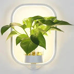 LED plant wall light with glass vase – Round & oval