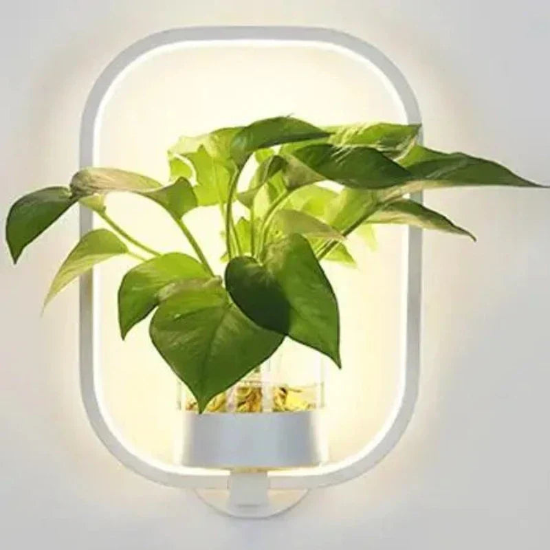 LED plant wall light with glass vase – Round & oval