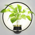 LED plant wall light with glass vase – Round & oval
