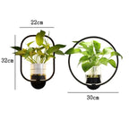 LED plant wall light with glass vase – Round & oval