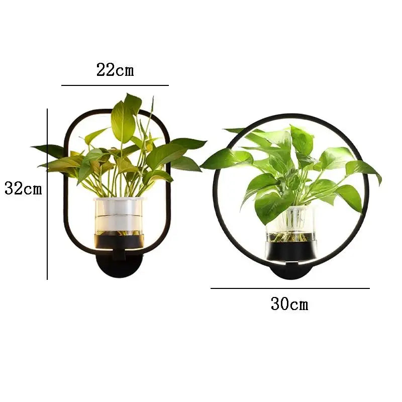 LED plant wall light with glass vase – Round & oval