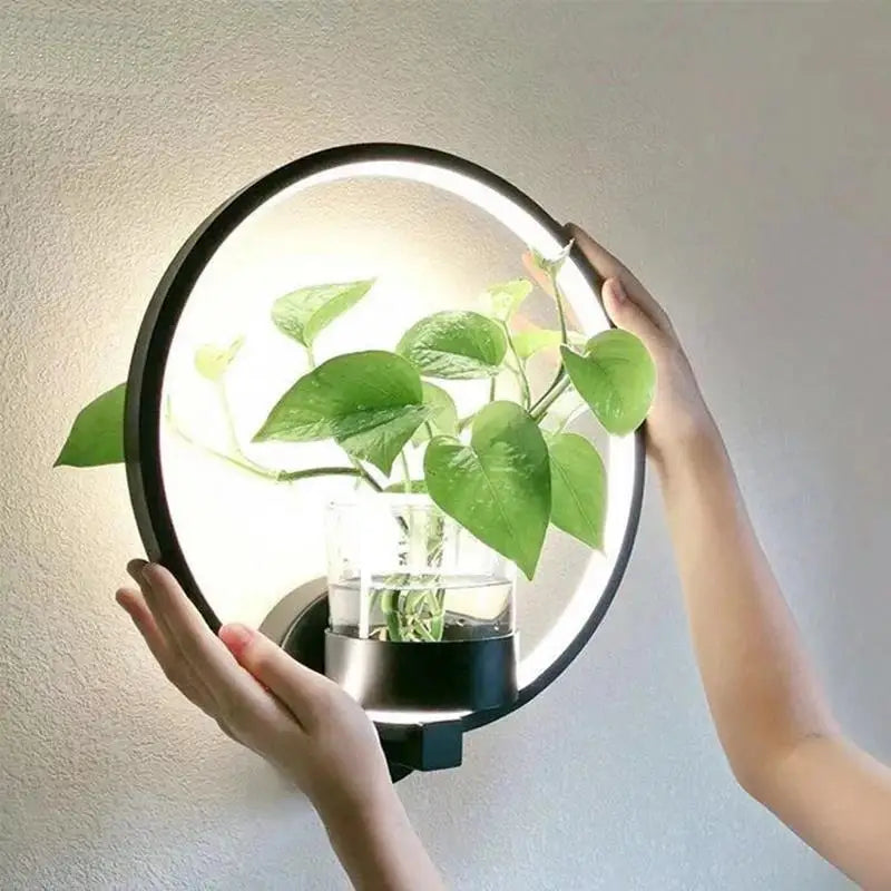 LED plant wall light with glass vase – Round & oval
