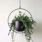 Moderner Hängeblumentopf -   Mivoza Deutschland