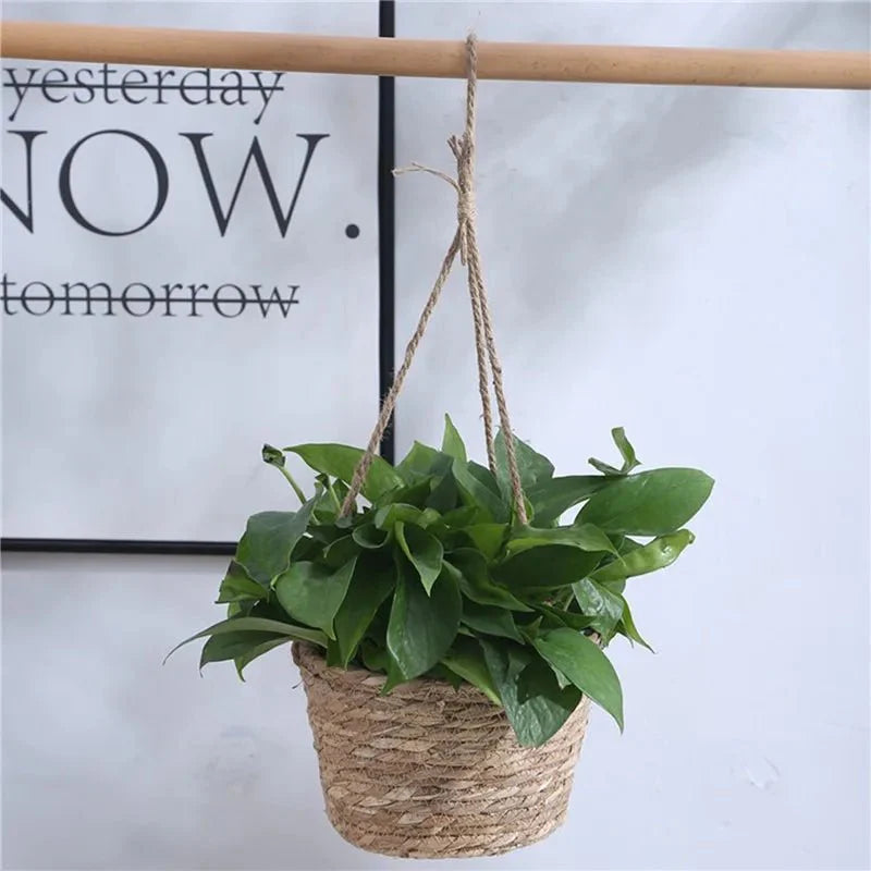 Makramee Blumenampel aus Jute mit Baumwollseil