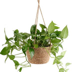 Makramee Blumenampel aus Jute mit Baumwollseil