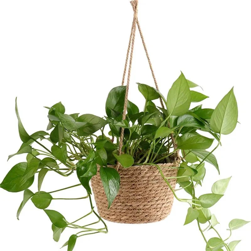 Makramee Blumenampel aus Jute mit Baumwollseil