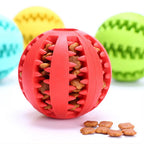 Rubber Snack Ball for Dogs – Fill with Treats, Hours of Play