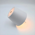 Clip-on LED Bottle Light with USB Charging