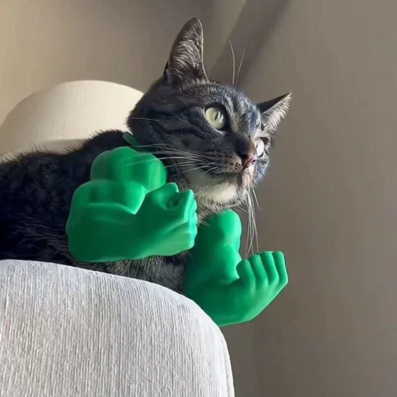 Katzenhalsband Bodybuilder-Arme