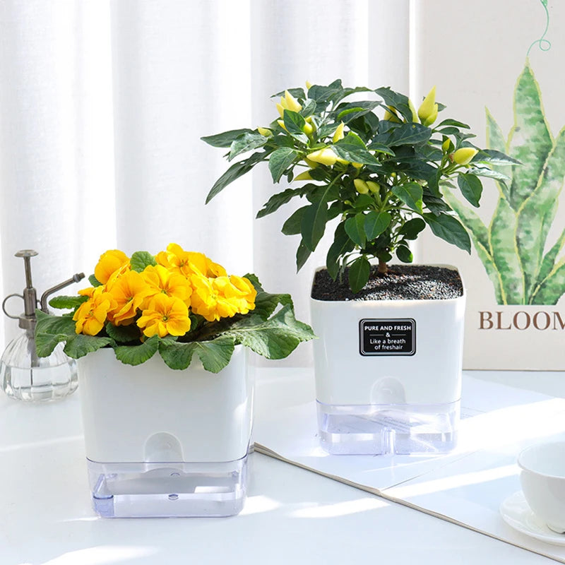 Selbstbewässernder Blumentopf mit sichtbarem Wasserstand