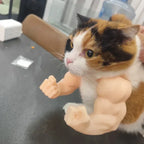 Katzenhalsband Bodybuilder-Arme