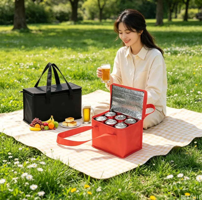 Kühltasche faltbar mit Isolierung für Picknick und Unterwegs