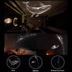 Galaxy Projektor mit Nachtlicht – 2-in-1 LED Sternenhimmel