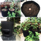 Planting Bag with Harvest Flap – Reusable Grow Bag
