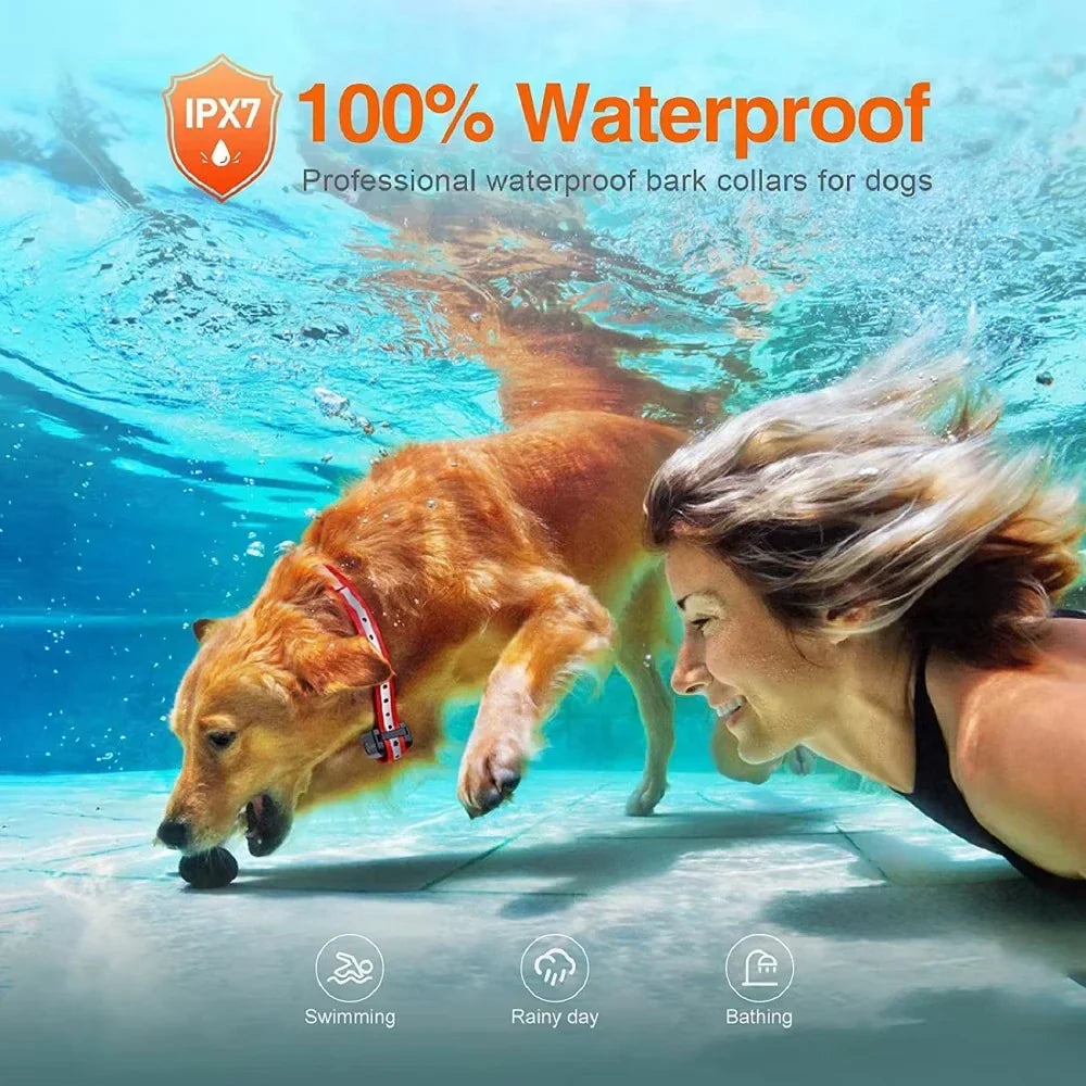 Electronic dog collar with remote control 1000m