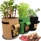 Planting Bag with Harvest Flap – Reusable Grow Bag