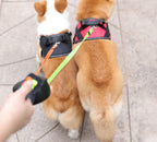 Doppelte Einzieh-Hundeleine mit LED-Taschenlampe – Zwei Hunde gleichzeitig führen