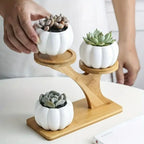 Bamboo table shelf with multi-level display surface