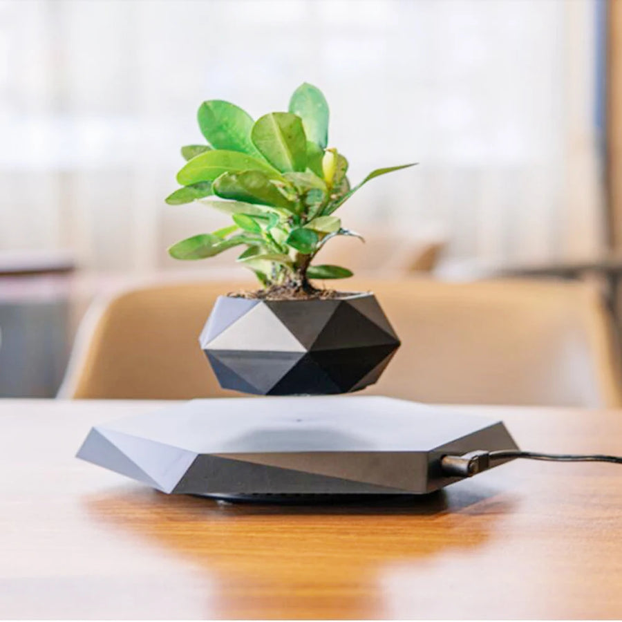 Floating flower pot with 360° rotation – Modern home accessory