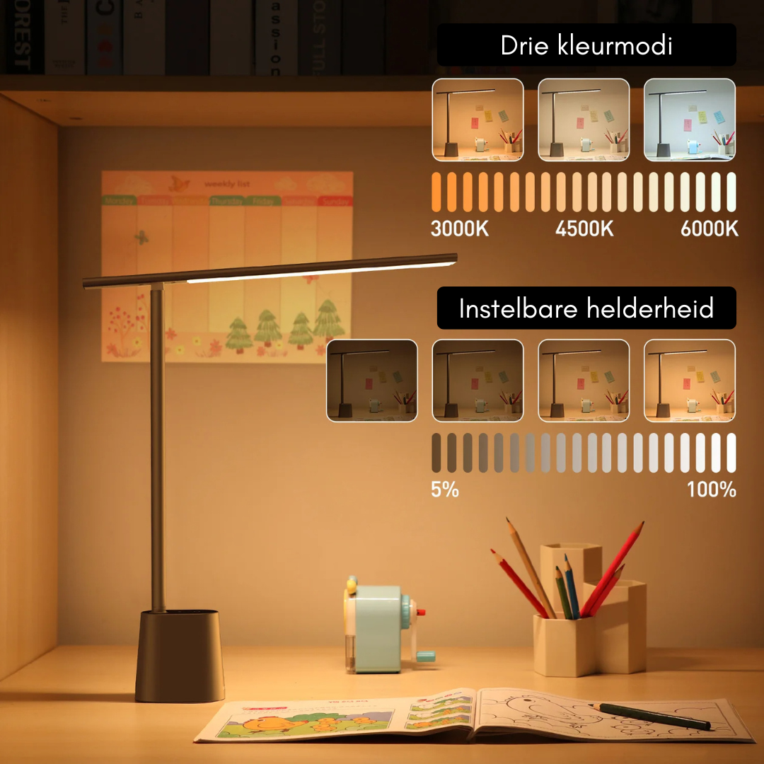 Dimmable LED Desk Lamp with Battery